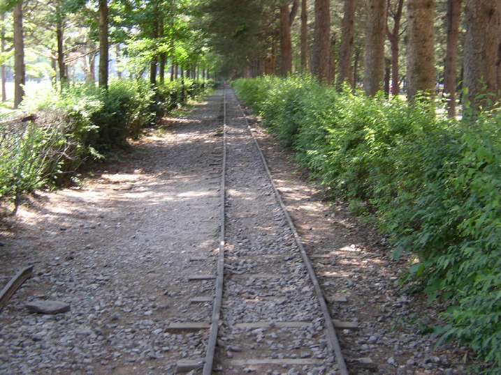 ミニ列車の鉄道